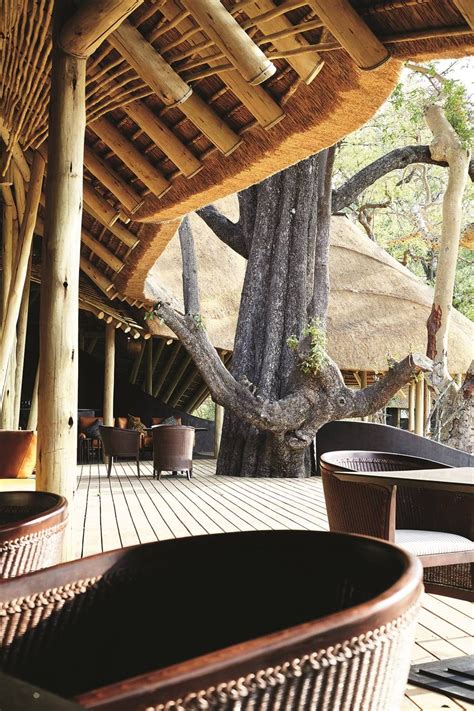 Botswana six incredible safari lodges – Artofit