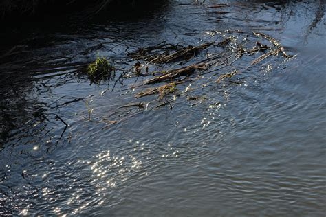 Shooting In January The Naked Truth Continues