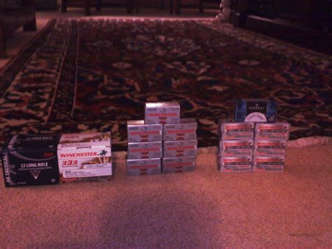 Huge lot of .22 LR Ammo Bulk 22 Amm... for sale at Gunsamerica.com ...