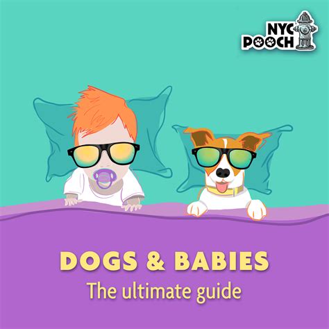 How To Prepare Your Dog For a Baby | NYC Pooch
