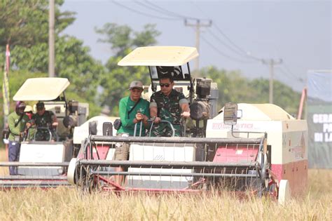 Pangdam Iii Slw Dampingi Kasad Jenderal Tni Maruli Simanjuntak Panen