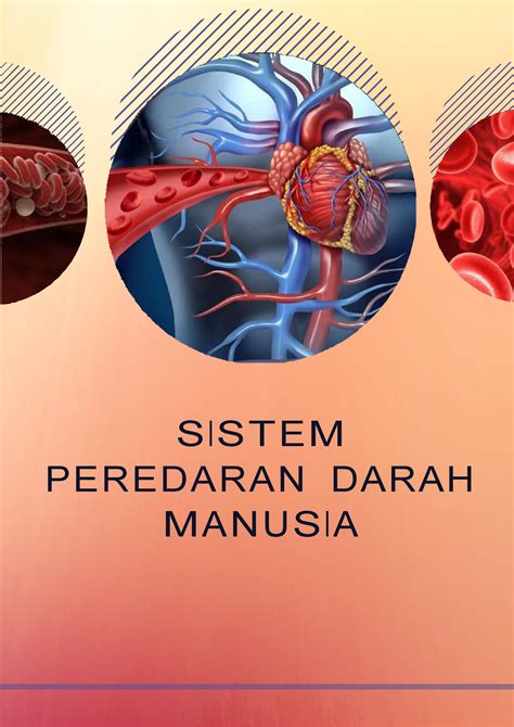 Kd Modul Sistem Peredaran Darah Organ Mekanisme Peredearan