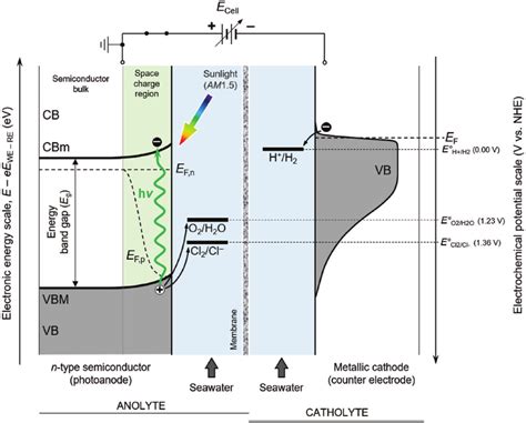 Schematic Energy Diagram Of An H Type Photoelectrochemical Cell