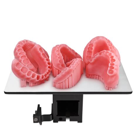Anycubic DLP Craftsman Resin Gray color - JOCAM | 3d printer Jordan | عمّان