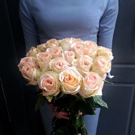Доставка: Букет из персиковых роз. Роза Кения - персиковый, лента ...