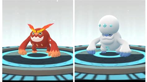 Evolving Darumaka Into Darmanitan A Type Pokemon Galarian Darumaka