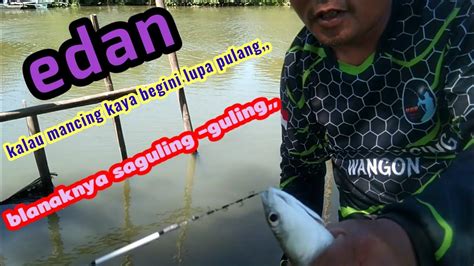 Edaaann Kalau Mancing Kaya Begini Lupa Pulang Lurr Youtube