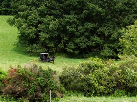 Neighbors debate tn amish road safety and buggy laws 9