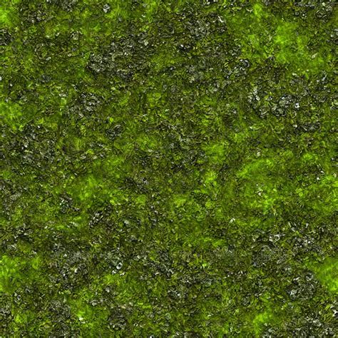 Mossy Stone Texture Seamless