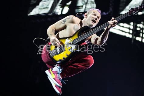Red Hot Chili Peppers Fansite News And Forum Thechilisource