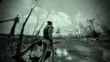 Eli S Armour Compendium Decency Patch No More Naked Npcs At Fallout