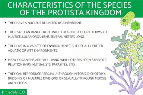 Select Appropriate Descriptions Of Protists