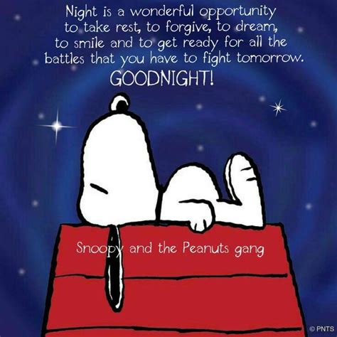 16 Snoopy Friendship Quotes Friendship Good