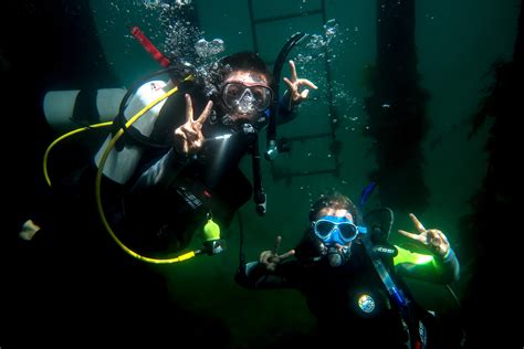 Introduction To Scuba Diving Phillip Island 3 Hours Adrenaline