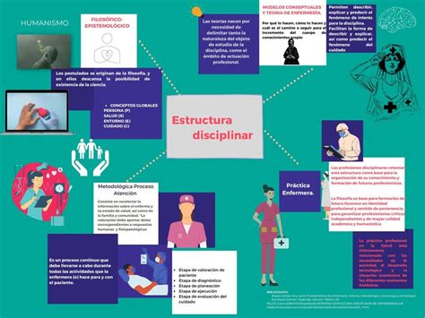 Estructura Disciplinar Mundo D Enfermeria Udocz