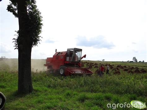 Bizon Rekord Z058 Albumy użytkowników Users albums Agrofoto pl