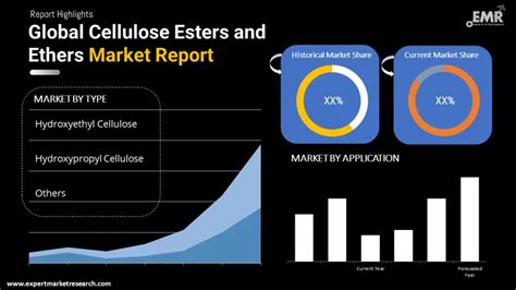 Cellulose Esters And Ethers Market Size Share Analysis 2024 2032