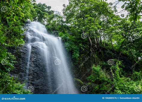 Beautiful Rain Forest Waterfalls in Kerala Stock Photo - Image of ...