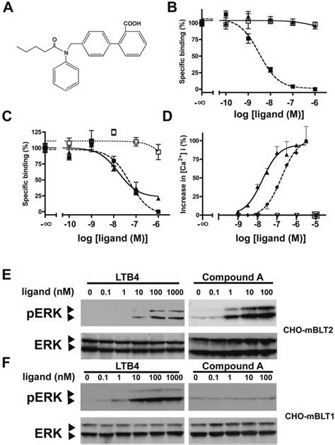 Compound A Is A Selective Agonist For Blt2 A The Structure Of