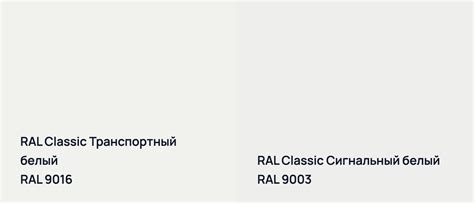 RAL Classic RAL 9016 Транспортный белый с примерами фото - Просто Ремонт