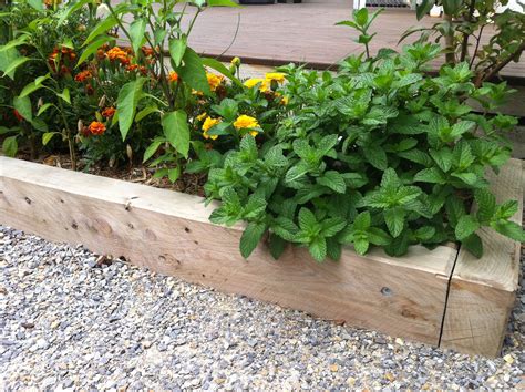 Vegetable gardens in small spaces - small spaces GARDEN DESIGN