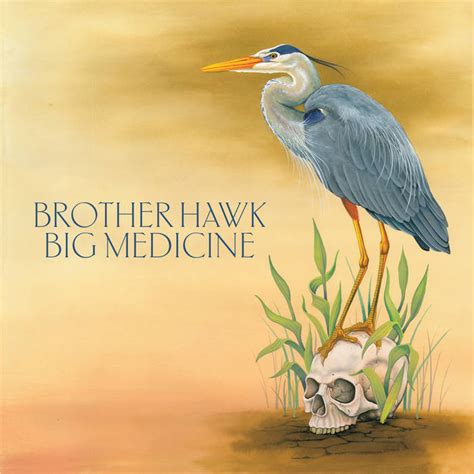 Big Medicine Brother Hawk