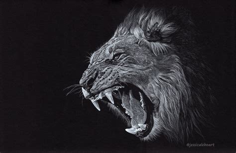 Black Paper Drawings Jessica Lebo Art