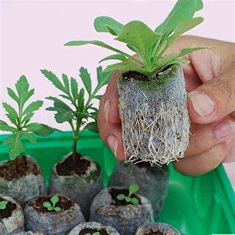 Changsha Pcs Peat Pellet Mm Plant Pallet Seedling Soil Block