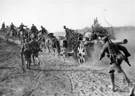 Horses Of The Blitz German Cavalry In World War Ii Warfare History