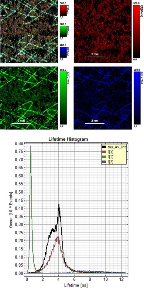 Fluorescence Lifetime Imaging Flim Picoquant