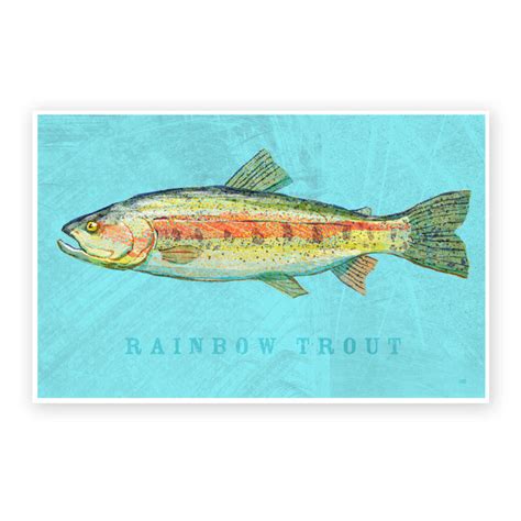 Freshwater Fish Art Series Collection - John W. Golden Art