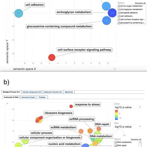 Scatterplot Of Enriched Biological Process Gene Ontology Terms Go