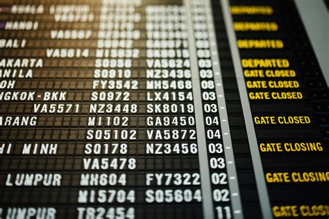 Guide to Flight Delays and their Causes