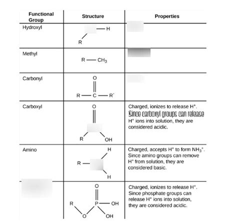 Functional Groups Diagram Quizlet