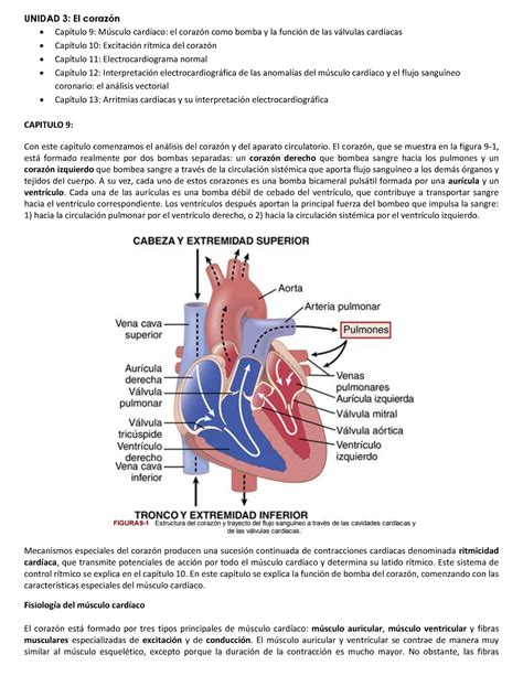 Guyton Sistema Cardiovascular Fisiologia Musculo Cardiaco Unidad