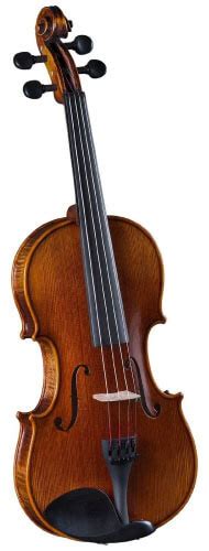 17 Best Violin Brands for Beginner & Intermediate Students 2024