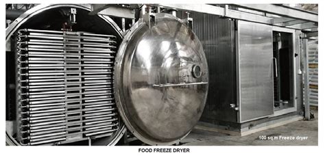 Commercial Freeze Dryer At Best Price In Prakasam By Vacline