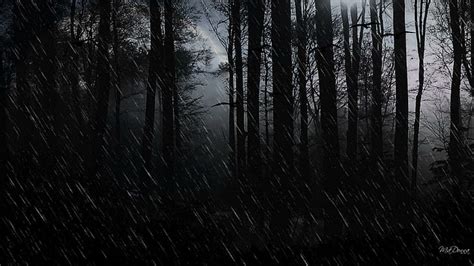 HD wallpaper: Rain Showers, forest illustration, trees, woods ...