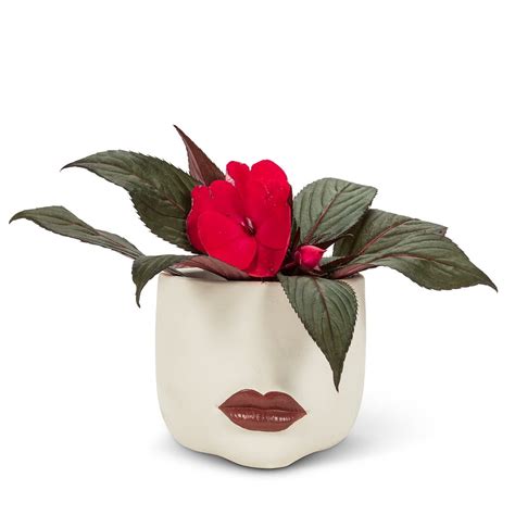 Set Of 4 Small Red Lip Planter