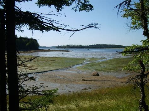 Roque Bluffs State Park | State parks, Adventure destinations, Lubec