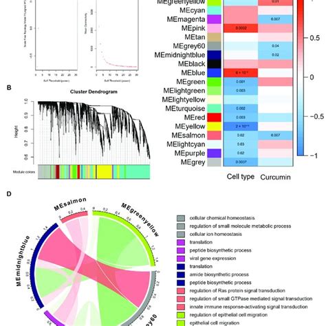 Wgcna Analysis And Module Annotation A The Soft Threshold Is Set To