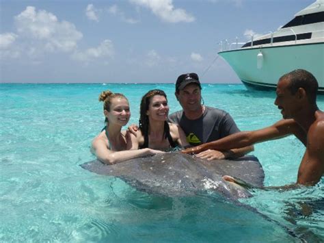 Extraordinary - Review of Stingray City, Grand Cayman, Cayman Islands ...