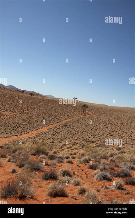 Namib Desert landscape Stock Photo - Alamy