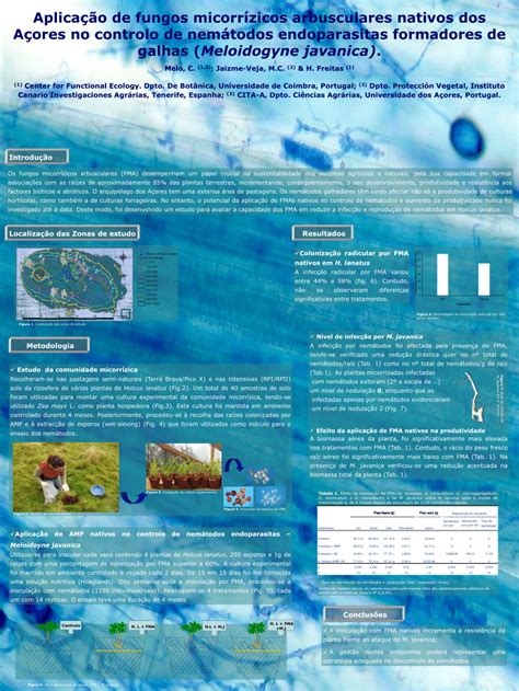 Pdf Aplicação De Fungos Micorrízicos Arbusculares Nativos Dos Açores