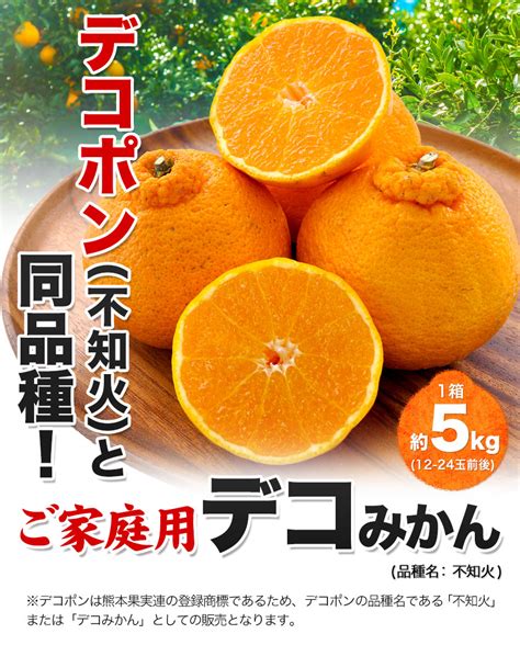 【2023年12月】ふるさと納税でもらえるデコポンの還元率・コスパランキング｜gooふるさと納税