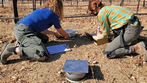 CDFA Healthy Soils Program Vermicompost Demonstration Workshop 2020