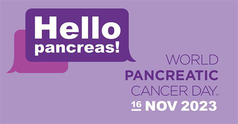 World Pancreatic Cancer Day - Hirshberg Foundation for Pancreatic ...