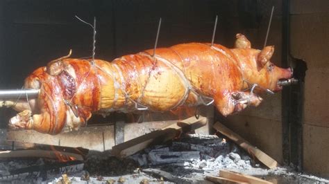 Pečené prasiatka – Fresh & Fried Slovakia, s.r.o.