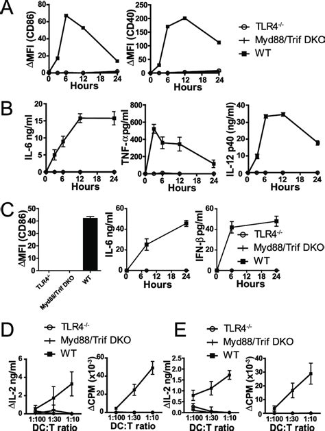 Lps Induced Dc Maturation And Priming Of Adaptive T Cell Immune