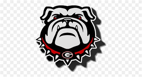 Georgia Bulldog Uga Clipart Bulldogs Football Mens Georgia Bulldogs New ...